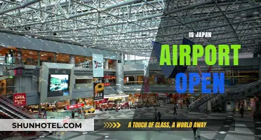 Is Japan Airport Open? Current Status and Travel Updates