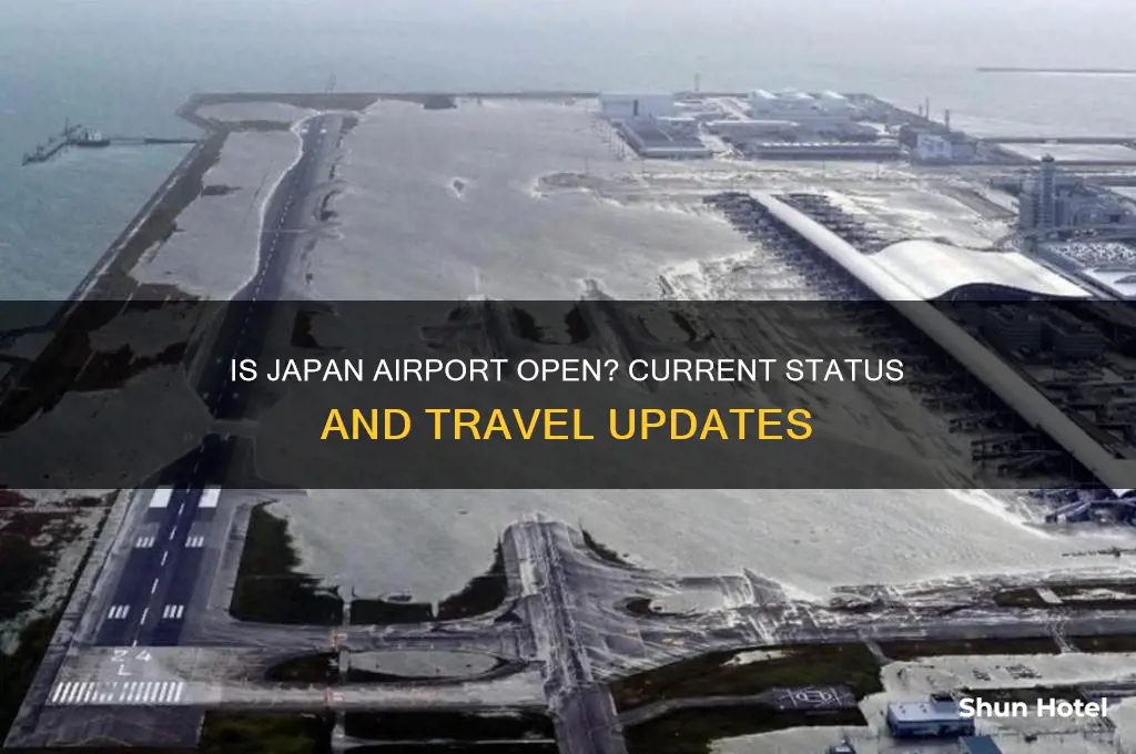 is japan airport open