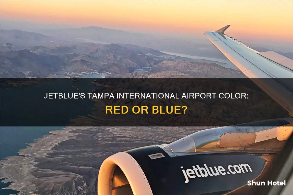 is jetblue red or blue at tampa international airport