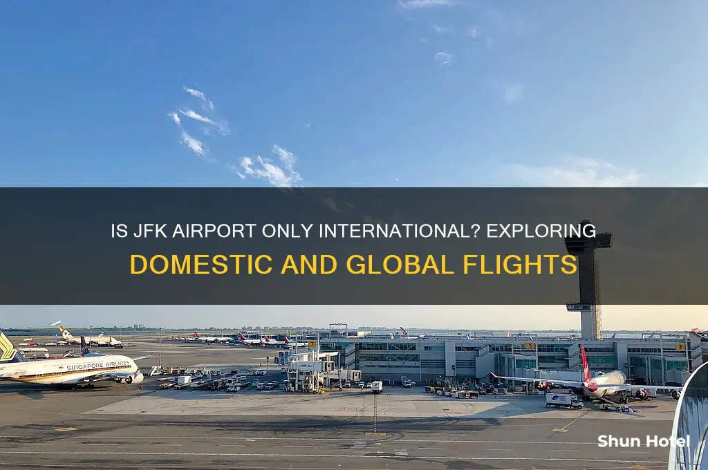 is jfk airport only international
