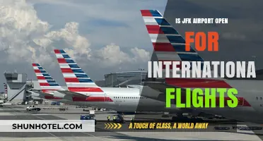 Is JFK Airport Open for International Flights? Current Status and Updates