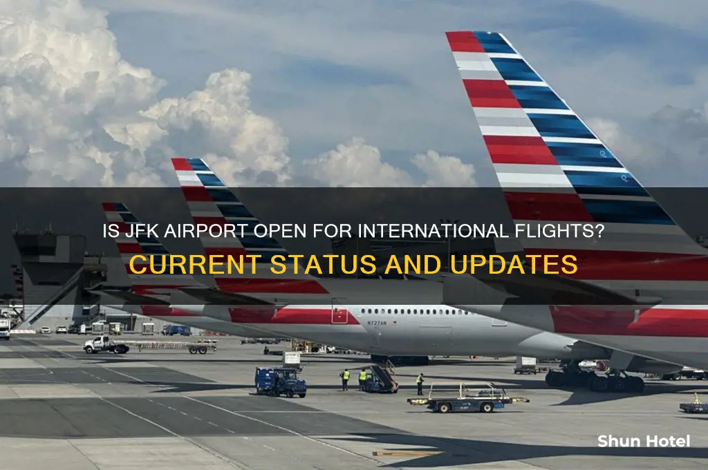 is jfk airport open for international flights