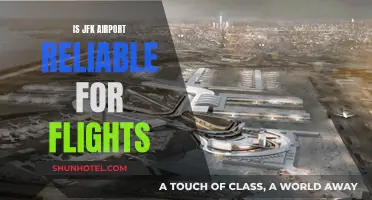 JFK Airport: Reliable Hub or Flight Risk?