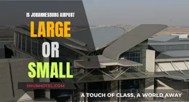 Johannesburg Airport: A Small or Large Aviation Hub?