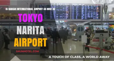 Kansai vs. Narita: Which Japanese Airport Offers a Better Experience?