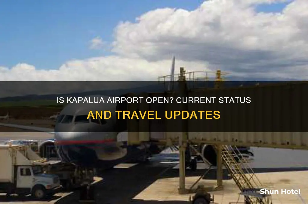 is kapalua airport open