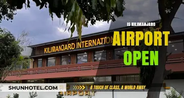 Is Kilimanjaro Airport Open? Current Status and Travel Updates