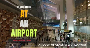 Krish Ashok's Airport Adventure: An Unexpected Journey