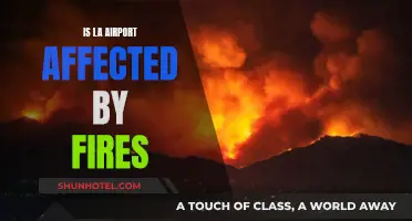 LAX Airport: Impact of Wildfires and Safety Measures