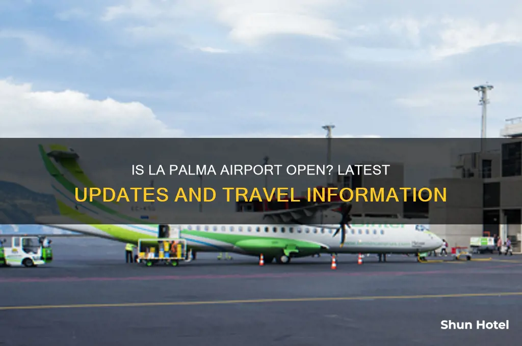 is la palma airport open