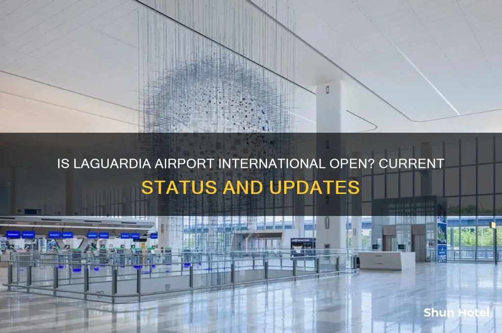 is laguardia airport international open