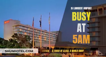 Lambert Airport: Is 5AM Rush Hour Too Early?