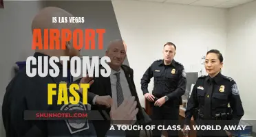 Las Vegas Airport: Quick Customs Clearance?