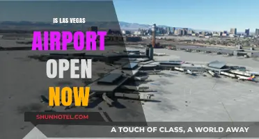 Is Las Vegas Airport Open Now? Current Status and Updates