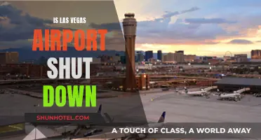 Las Vegas Airport: Closed or Open for Business?