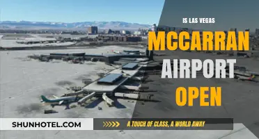 Is McCarran Airport Open? Las Vegas Travel Updates Revealed