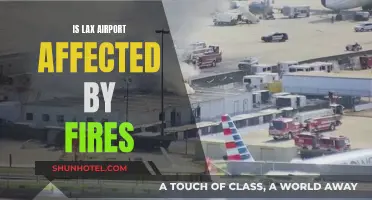Lax Airport: Impact of Wildfires and Safety Measures