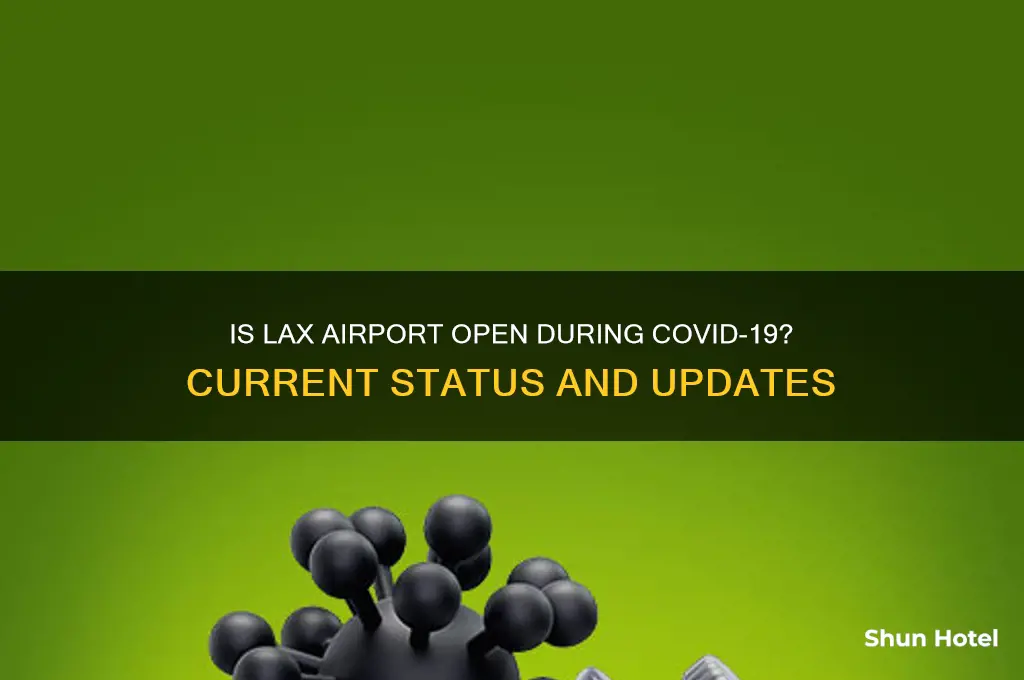 is lax airport open during covid-19