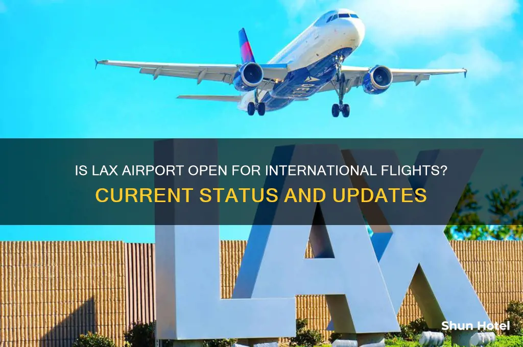 is lax airport open for international flights