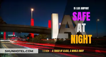 Lax Airport: Safe Haven or Nighttime Danger?