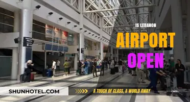 Is Lebanon Airport Open? Current Status and Travel Updates