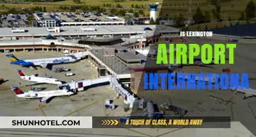Is Lexington Airport International? Exploring Blue Grass Airport's Global Status