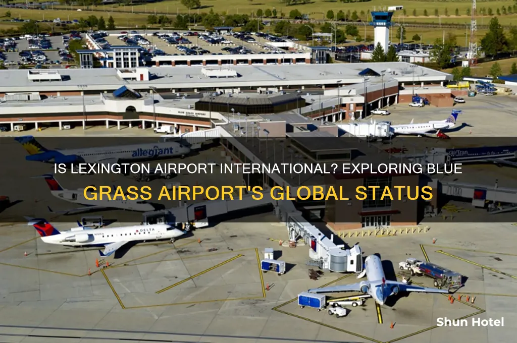 is lexington airport international