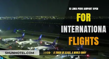 Lima Airport's International Flight Status: What Travelers Need to Know