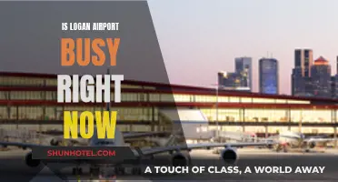 Boston Logan Airport: Current Wait Times and Crowds
