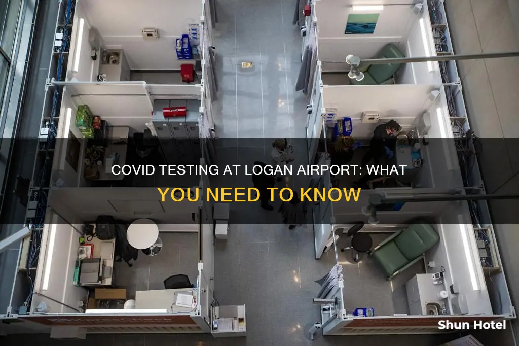 is logan airport doing covid testing
