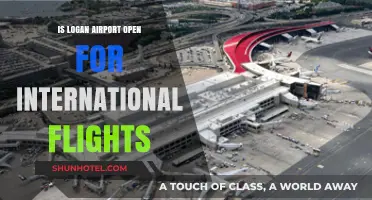 Is Logan Airport Open for International Flights? Current Status Explained