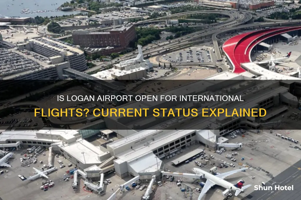is logan airport open for international flights