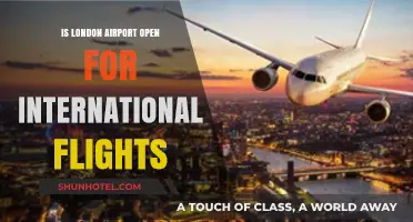 London Airport International Flights: Current Status and Travel Updates