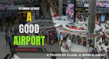 Gatwick Airport: A Traveler's Delight or London's Worst?