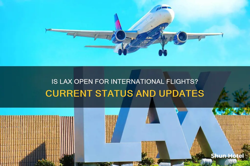 is los angeles airport open for international flights