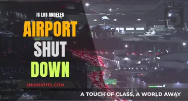 Los Angeles Airport: Closed or Open for Business?