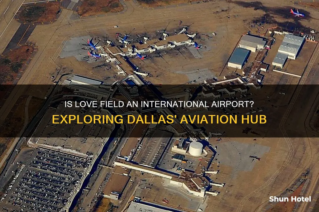 is love field an international airport