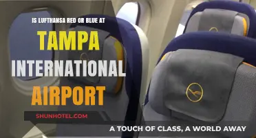 Lufthansa's Brand Colors: Red or Blue at Tampa International Airport?