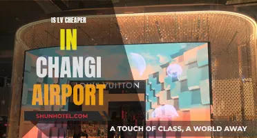 Changi Airport LV Shopping: Cheaper or Not?