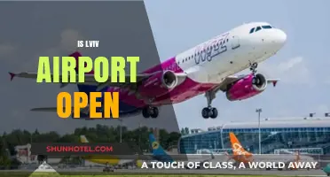 Is Lviv Airport Open? Current Status and Travel Updates