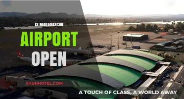 Is Madagascar Airport Open? Latest Updates and Travel Information