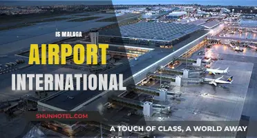 Is Malaga Airport International? Exploring Its Global Connectivity and Services