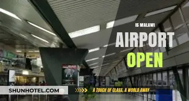Is Malawi Airport Open? Current Status and Travel Updates