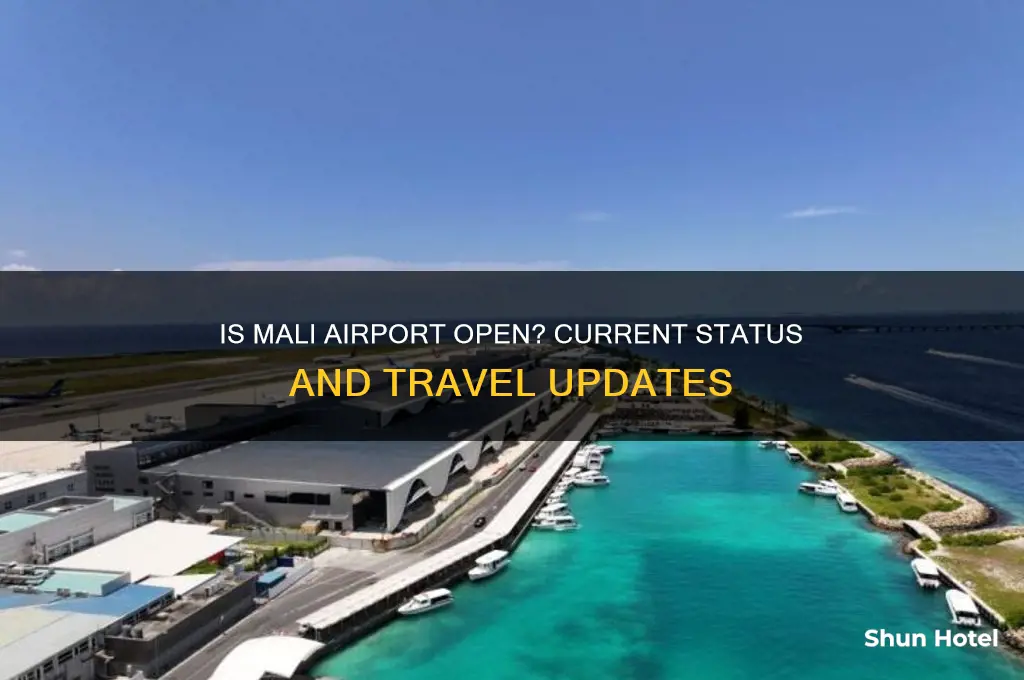 is mali airport open