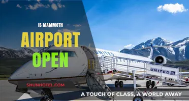 Is Mammoth Airport Open? Current Status and Travel Updates