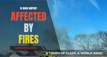 Maui Airport Operations During Wildfires: Impact and Precautions