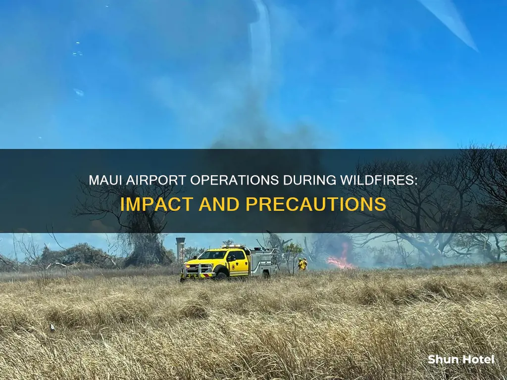 is maui airport affected by fires