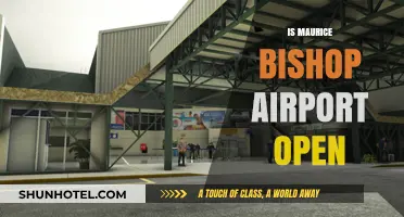Is Maurice Bishop Airport Open? Current Status and Travel Updates