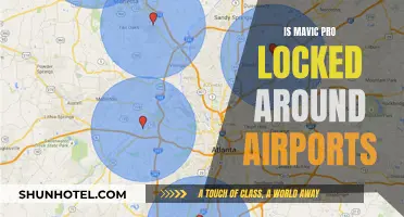 Mavic Pro's Airport Conundrum: Locked Out or Safe Landing?