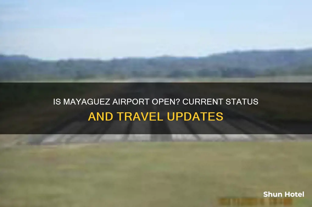 is mayaguez airport open